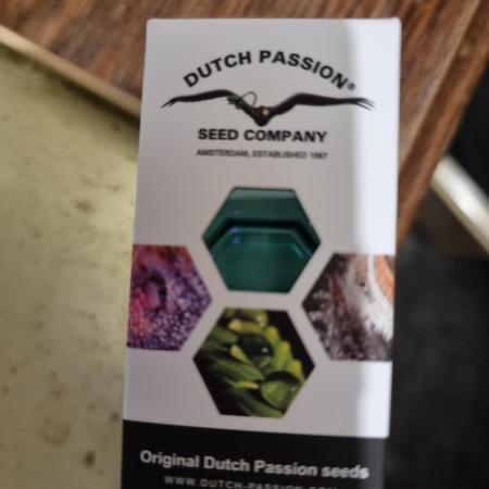 Blue zushi. dutch passion.