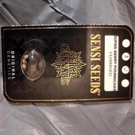 Super berry poundcake. SENSI SEEDS.