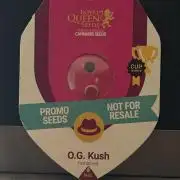OG Flashback