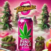 Pink Apple Soda Auto