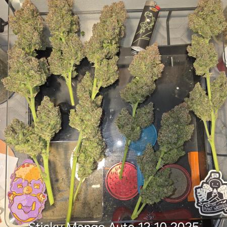 Five Plants One Goal