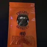 DWC - Peanut Butter Breath - Thug Pug Genetics