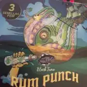 Rum Punch 1.0. Pambele 1,0 Rum Punch 2.0