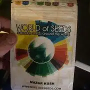 Mazar Kush - World Of Seeds