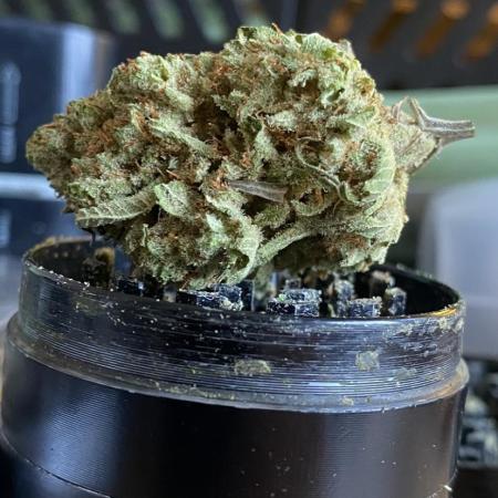 Blue Dream - Barneys farm - FC3000evo