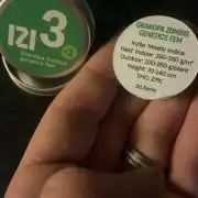 Grandpa Zombie Genetics Fem - Izi Farms