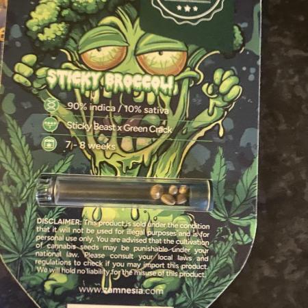 Eternity Growcup 2026 - Sticky Broccoli