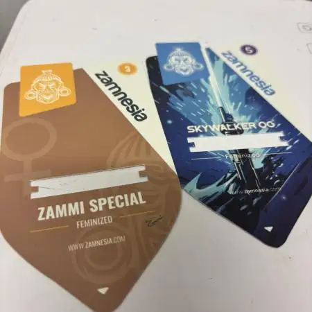 #15 Zamnesia Variety Grow