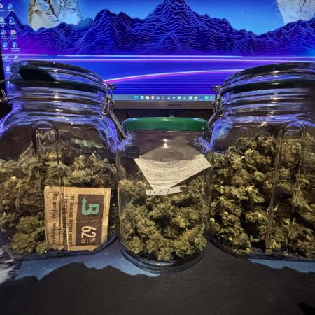 #14 - Barney's LSD Feminsed