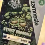 #16 - Sticky Broccoli: Eternity Cup 2026