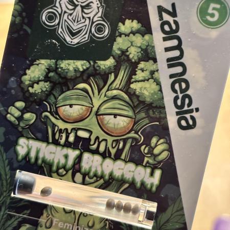 #16 - Sticky Broccoli: Eternity Cup 2026