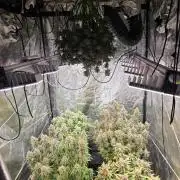 Fastbud Auto Mixed Zelt