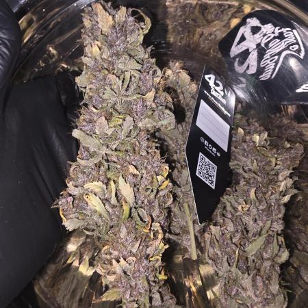 420 Fastbud´s finest