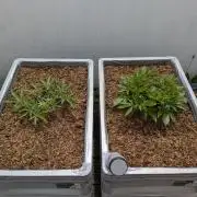 Roof terrace 2026