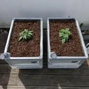Roof terrace 2026