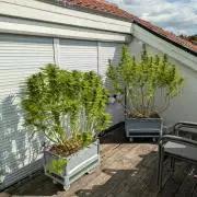 Roof terrace 2026