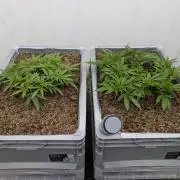 Roof terrace 2026