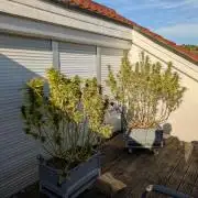 Roof terrace 2026