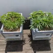 Roof terrace 2026