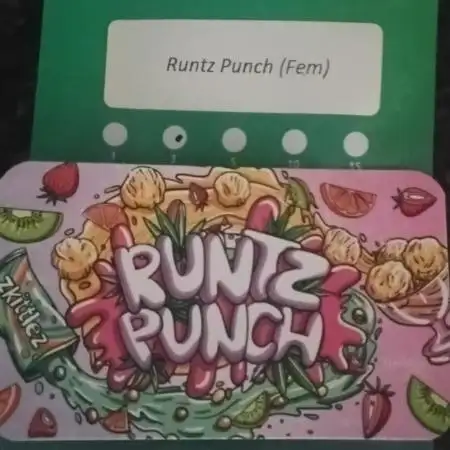 Herbies runtz