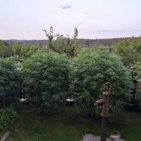 Germany, Outdoor