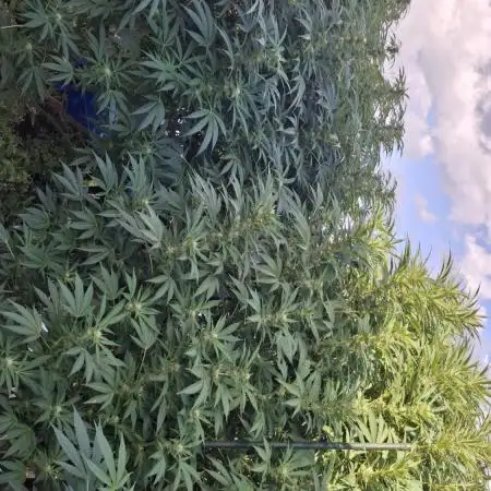 Outdoor Germany Northern Lights, etc.