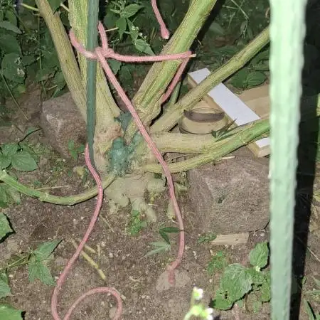 Germany, Outdoor