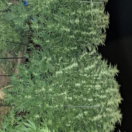 Outdoor Germany Northern Lights, etc.