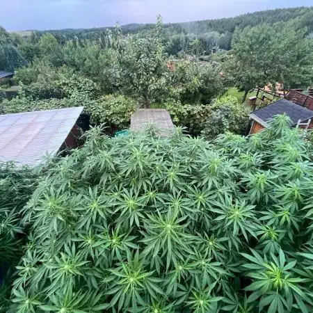 Outdoor Germany Northern Lights, etc.