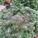 Outdoor Germany Northern Lights, etc.