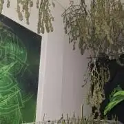 Outdoor Germany Northern Lights, etc.