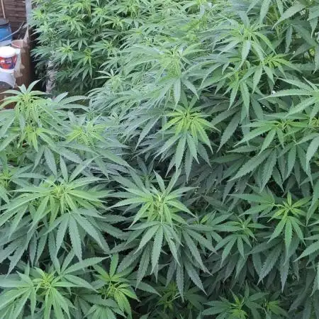 Germany, Outdoor