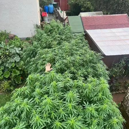 Outdoor Germany Northern Lights, etc.