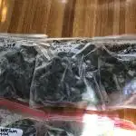 Fast Buds Rainbow Melon First Outdoor