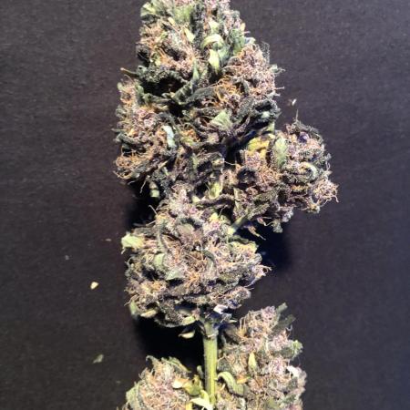 LSD-25 Auto Fast Buds Indoor Spring 26