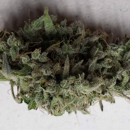 Fantasmo Express Grow #3