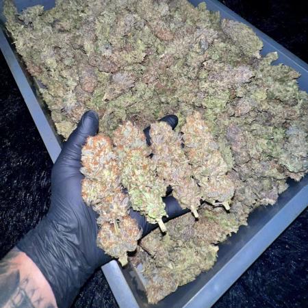 Moon Walker Kush