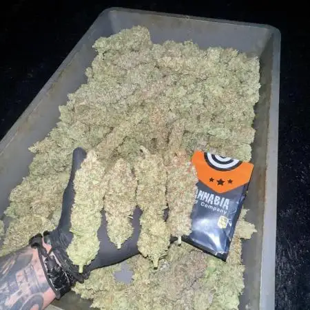Apple Fritter