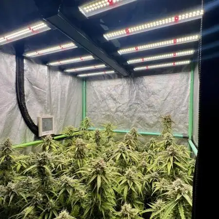 Strawberry Banana