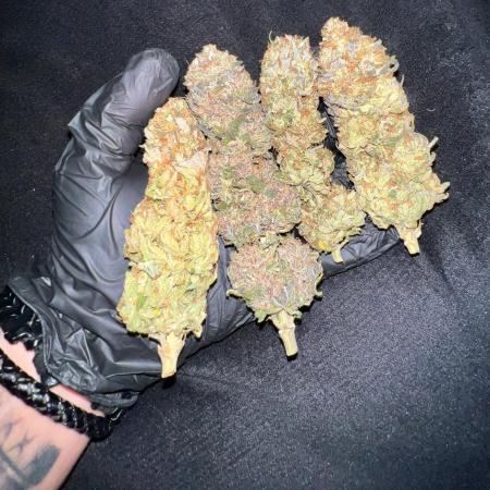 Gold Bar Kush