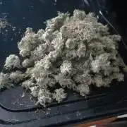 Cookies casket