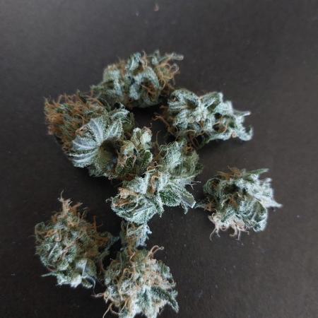Bubblegum