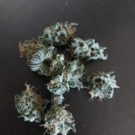 Bubblegum