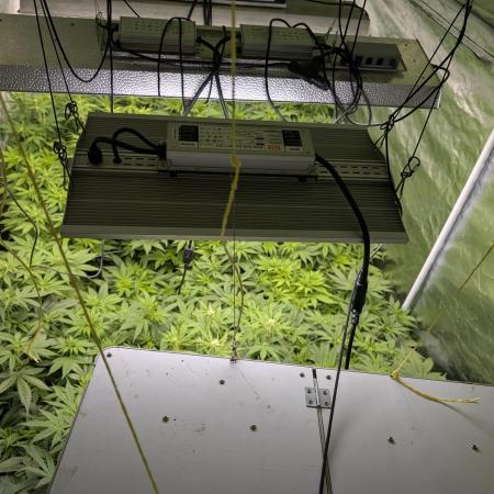 FumePop Auto x3