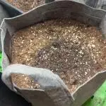 Fastbuds 420