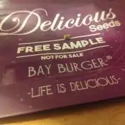 One plant One box whit bay burger