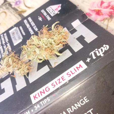 Old glory&lowcost,auto critical buddha