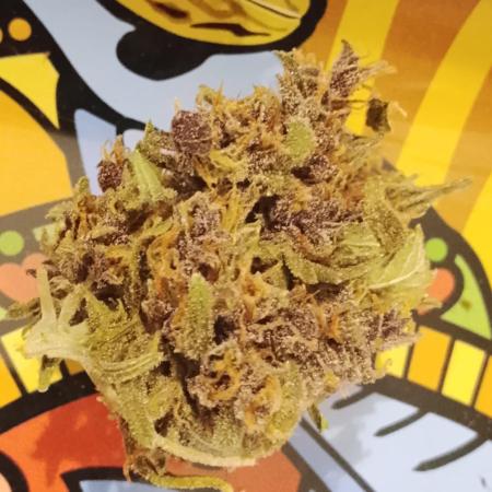 Banana purple punchRF3 Poor Summer part2