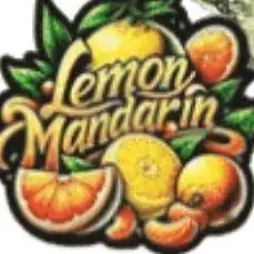 (Lemon mandarine) Poor Summer extra part