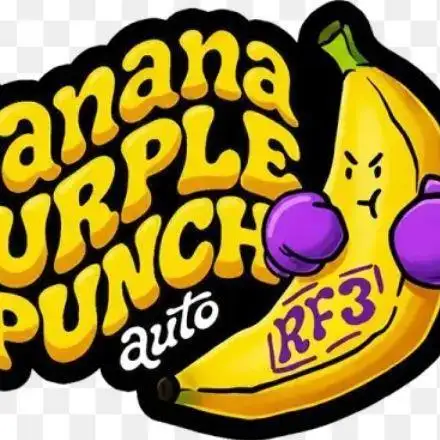 (🍌purple punch RF3) Poor Summer part2